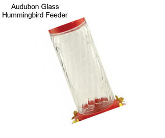 Audubon Glass Hummingbird Feeder