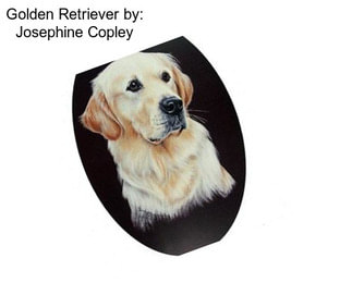 Golden Retriever by: Josephine Copley