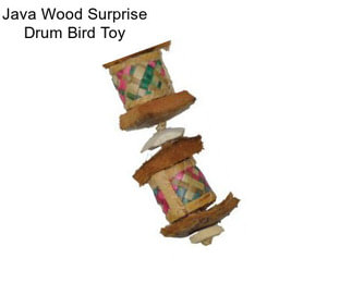 Java Wood Surprise Drum Bird Toy