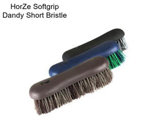 HorZe Softgrip Dandy Short Bristle