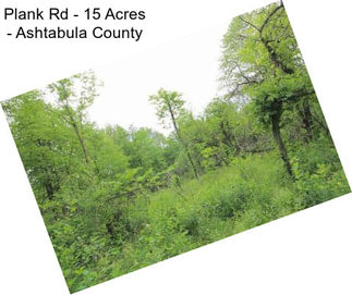 Plank Rd - 15 Acres - Ashtabula County