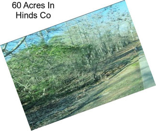 60 Acres In Hinds Co