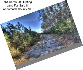 761 Acres Of Hunting Land For Sale In Accomack County Va!