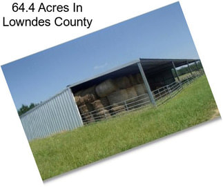64.4 Acres In Lowndes County