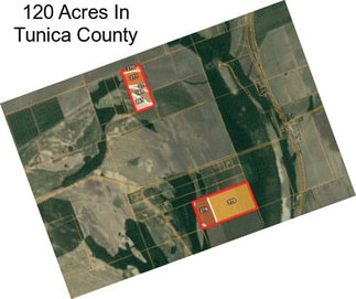120 Acres In Tunica County