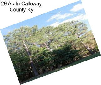 29 Ac In Calloway County Ky