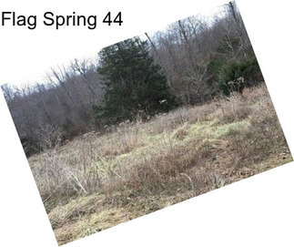 Flag Spring 44