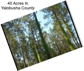 40 Acres In Yalobusha County