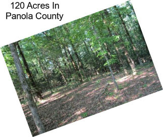 120 Acres In Panola County