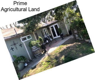 Prime Agricultural Land
