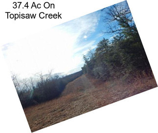 37.4 Ac On Topisaw Creek