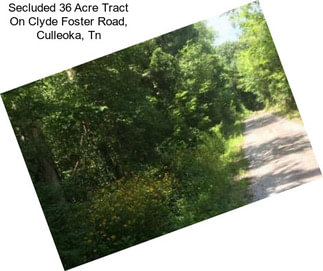 Secluded 36 Acre Tract On Clyde Foster Road, Culleoka, Tn