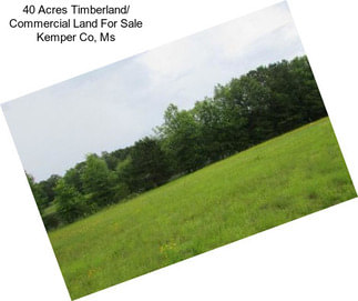 40 Acres Timberland/ Commercial Land For Sale Kemper Co, Ms