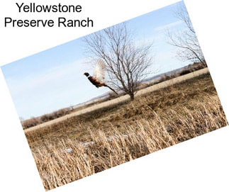 Yellowstone Preserve Ranch