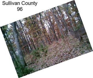 Sullivan County 96