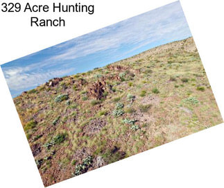 329 Acre Hunting Ranch