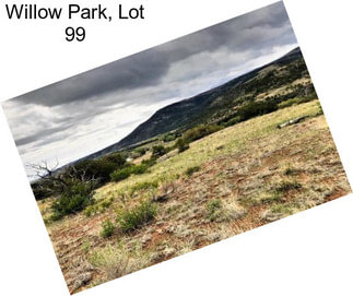Willow Park, Lot 99