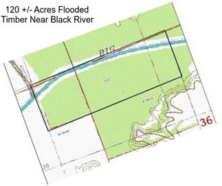 120 +/- Acres Flooded Timber Near Black River