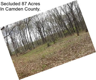 Secluded 87 Acres In Camden County.