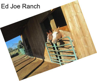 Ed Joe Ranch