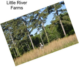 Little River Farms