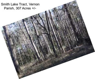 Smith Lake Tract, Vernon Parish, 307 Acres +/-