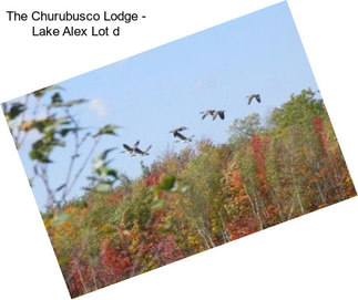 The Churubusco Lodge - Lake Alex Lot \