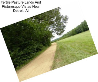 Fertile Pasture Lands And Picturesque Vistas Near Detroit, Al