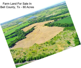 Farm Land For Sale In Bell County, Tx - 80 Acres