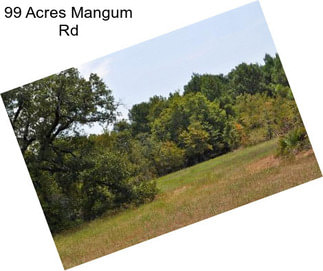 99 Acres Mangum Rd