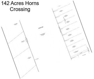 142 Acres Horns Crossing