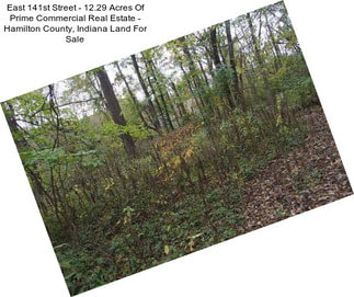 East 141st Street - 12.29 Acres Of Prime Commercial Real Estate - Hamilton County, Indiana Land For Sale