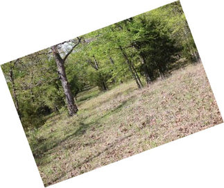 310 Acres With Improved Pastures Vian, Ok
*new Price*