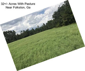 32+/- Acres With Pasture Near Folkston, Ga