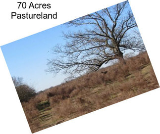 70 Acres Pastureland