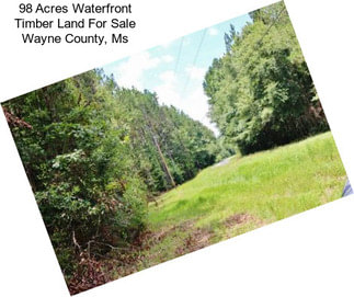 98 Acres Waterfront Timber Land For Sale Wayne County, Ms