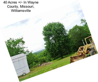 40 Acres +/- In Wayne County, Missouri, Williamsville