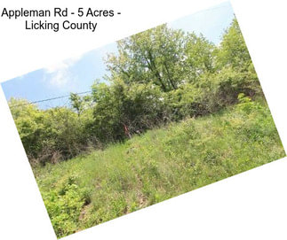 Appleman Rd - 5 Acres - Licking County