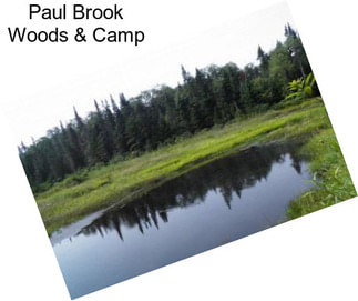Paul Brook Woods & Camp