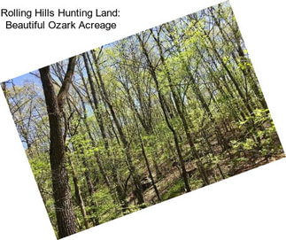 Rolling Hills Hunting Land: Beautiful Ozark Acreage