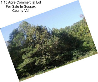 1.15 Acre Commercial Lot For Sale In Sussex County Va!