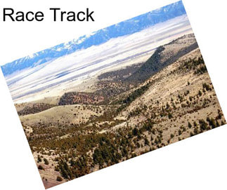 Race Track