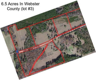 6.5 Acres In Webster County (lot #3)