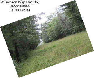 Williamson Way Tract #2, Caddo Parish, La_100 Acres