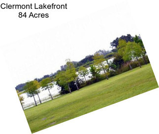 Clermont Lakefront 84 Acres