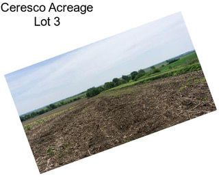 Ceresco Acreage Lot 3