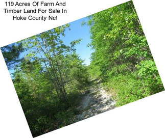 119 Acres Of Farm And Timber Land For Sale In Hoke County Nc!