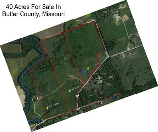 40 Acres For Sale In Butler County, Missouri