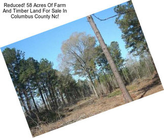 Reduced! 58 Acres Of Farm And Timber Land For Sale In Columbus County Nc!