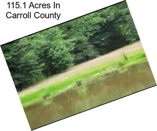 115.1 Acres In Carroll County